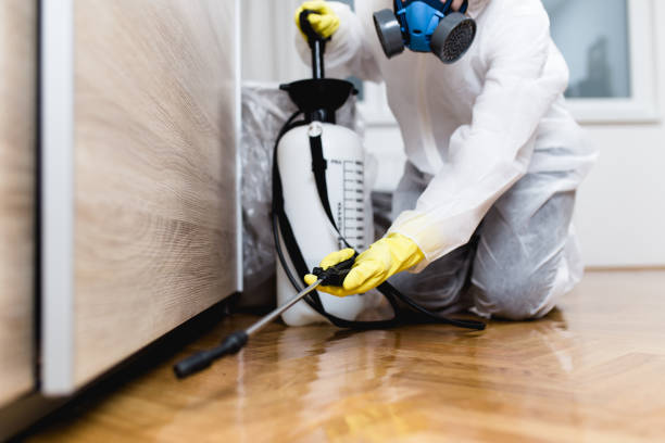 Best Bed Bug Extermination  in Linn, MO