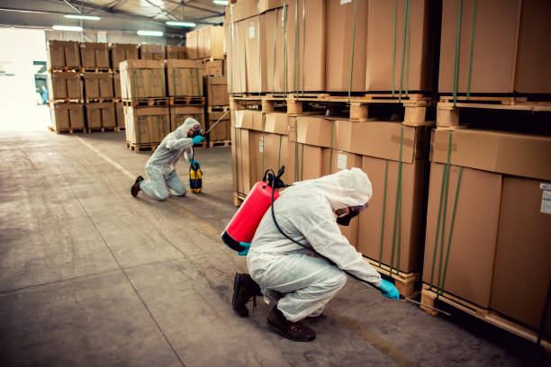 Best Emergency Pest Control  in Linn, MO