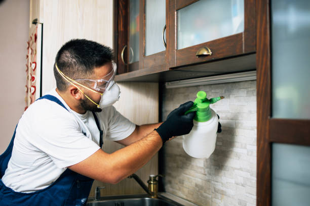Trusted Linn, MO Pest Control Experts