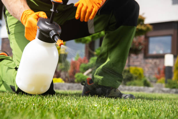 Pest Control for Restaurants in Linn, MO