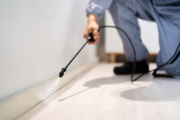 Professional Pest Control in Linn, MO