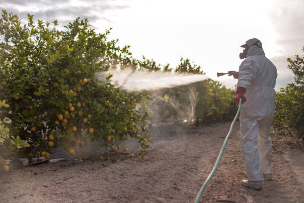 Best Commercial Pest Control Services  in Linn, MO