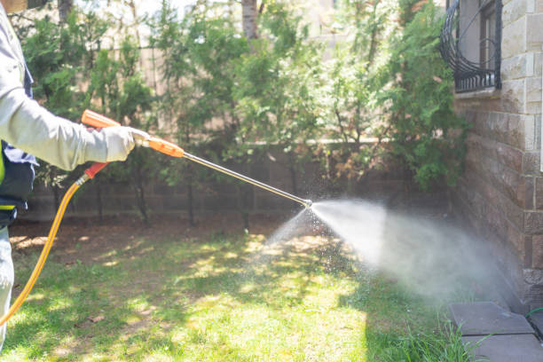 Best Best Pest Control Companies  in Linn, MO