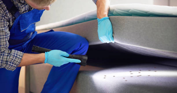 Best Affordable Exterminators  in Linn, MO