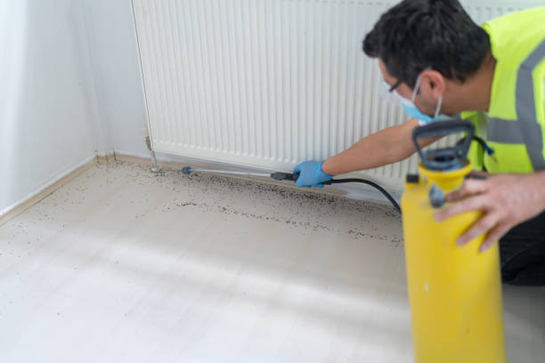 Best Wasp Removal Services  in Linn, MO